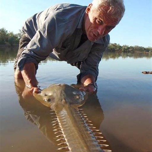 Jeremy Wade szemlélete: nem showműsor, hanem kutatómunka a vízen