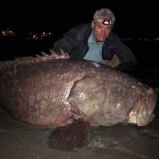 Jeremy Wade szemlélete: nem showműsor, hanem kutatómunka a vízen
