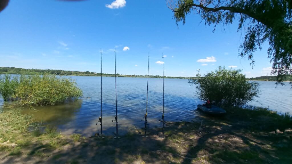 Exkluzív Vezetett Harcsázó Túra Fehérvárcsurgón a Catfish Boys Csapatával!
